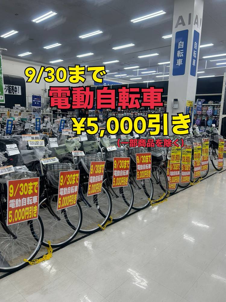 Mixed media feed | ミスターマックス 湘南藤沢店 | LINE Official Account