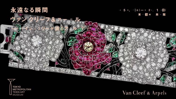 Mixed media feed | Van Cleef & Arpels | LINE Official Account