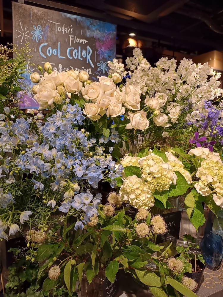 中国　青花山水文　粉彩花文など　盃　12客まとめて　M　R8128 中国青花山水文粉彩花文など盃12客まとめてMR8128