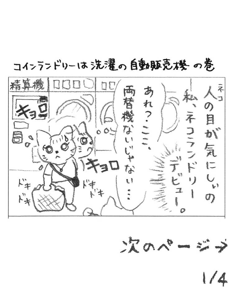 Mixed media feed | キレイネコさんのコインランドリー | LINE