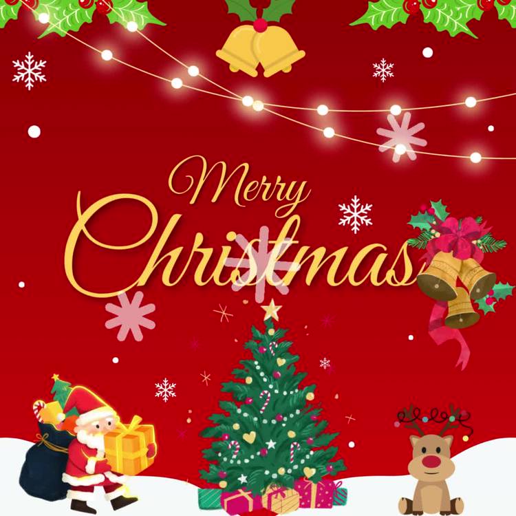 Mixed media feed | ヒマラヤ | LINE Official Account