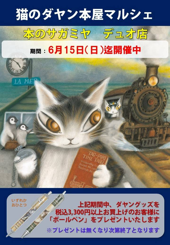 Mixed media feed | わちふぃーるど | LINE Official Account