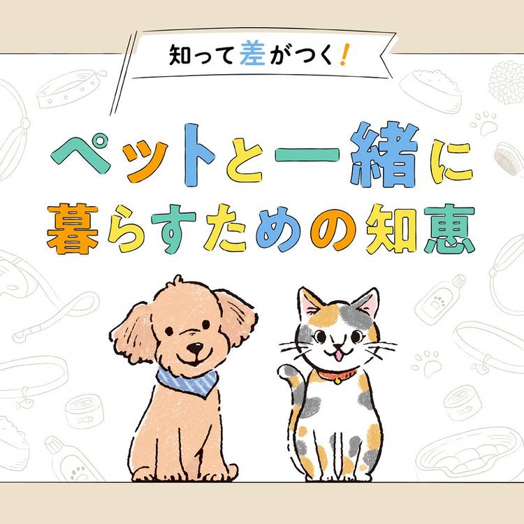 Mixed media feed | 八王子住宅公園 | LINE Official Account