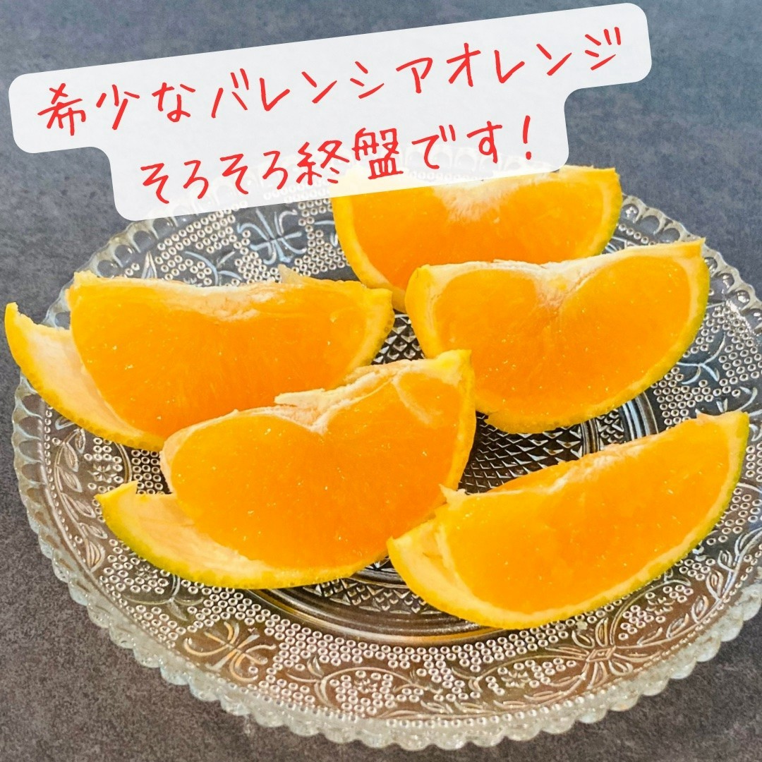 みっちゃん みっちゃん - トップスポンサーズ-ライダーの応援グッズ まとめ