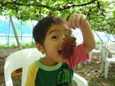 加賀フルーツランド | LINE Official Account