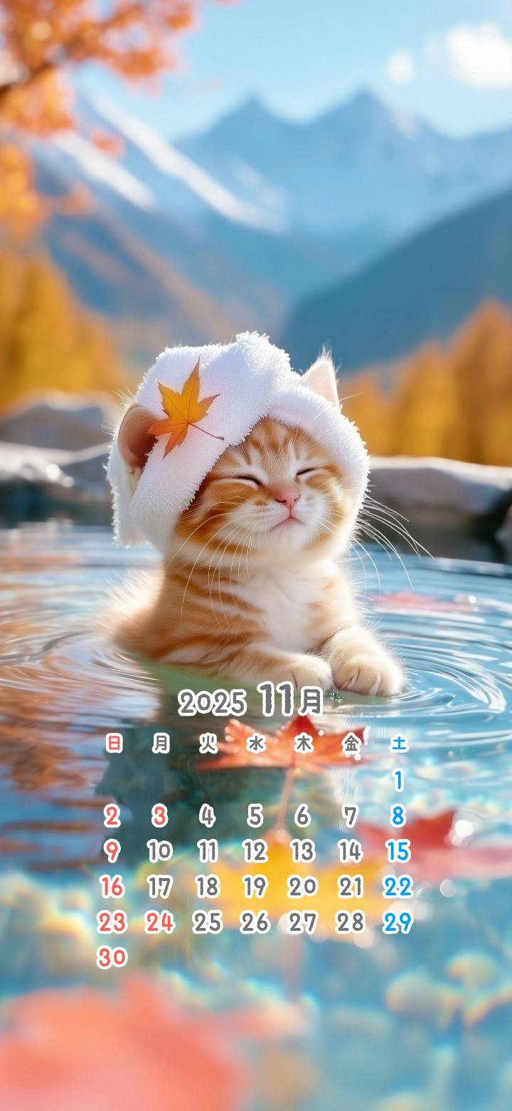 Mixed media feed | にゃーにゃー団 | LINE Official Account