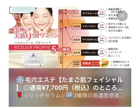 リセルシュールプロファイブ フェイシャルエステ機器 （リセルシュール