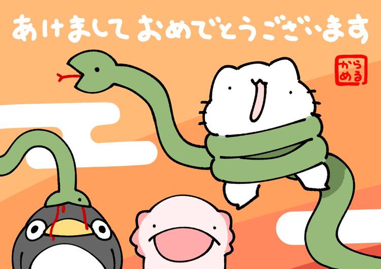 Mixed media feed | からめる | LINE Official Account