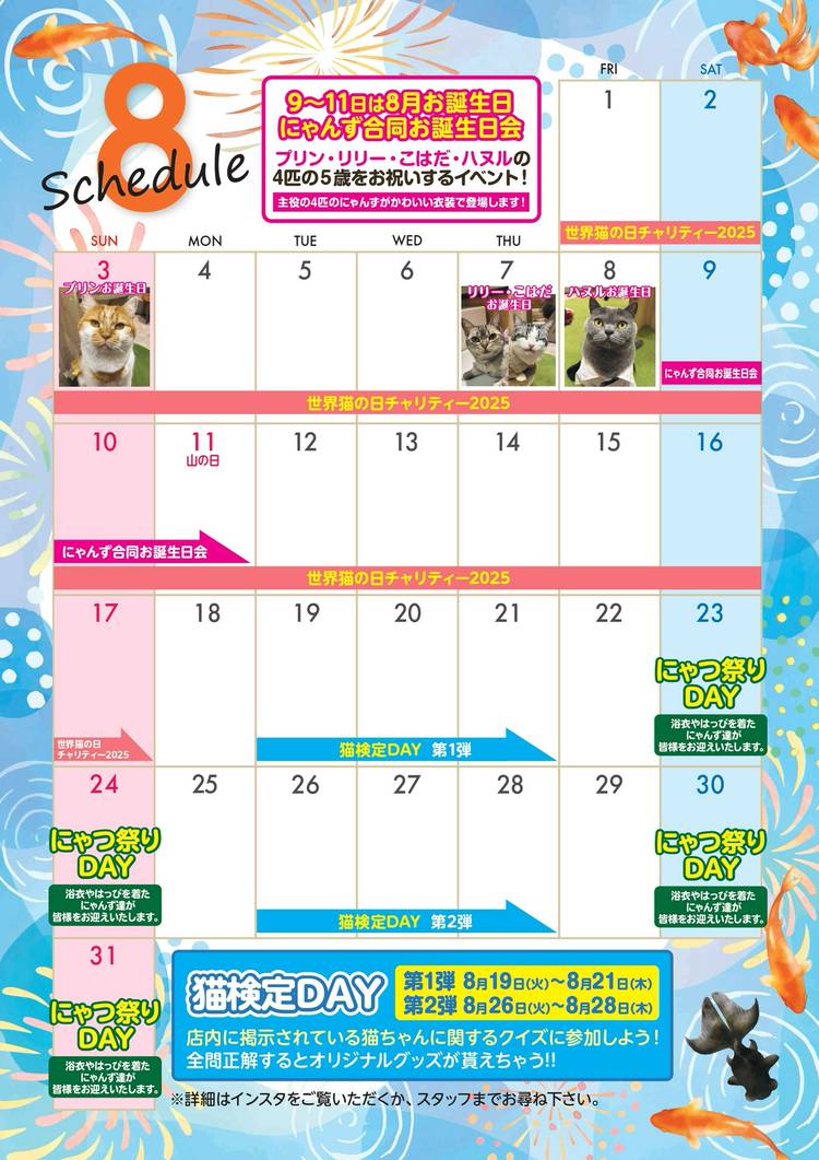 Mixed media feed | 猫カフェMOCHA 宮崎橘通店 | LINE Official Account