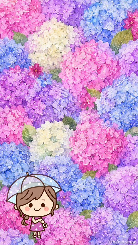紅おれんじ | LINE Official Account