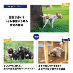ハル クール便配送料込みブッチジャパン ブッチ・ジャパン | LINE Official Account