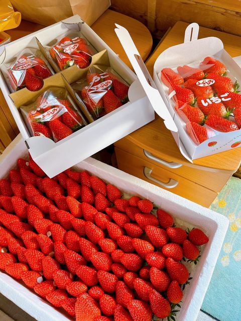 道利いちご農園 | LINE Official Account