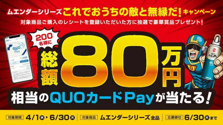 Mixed media feed | QUOカードPay | LINE Official Account