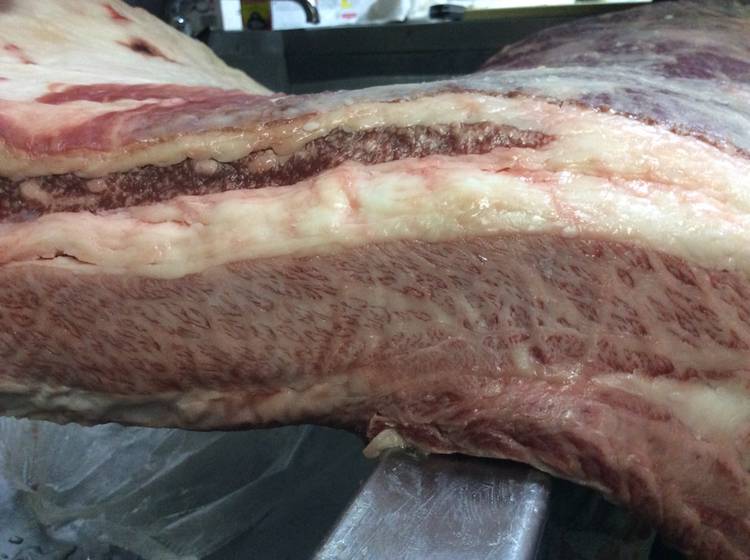 Mixed media feed | 焼肉酒家 李苑 朝霞台店 | LINE Official Account