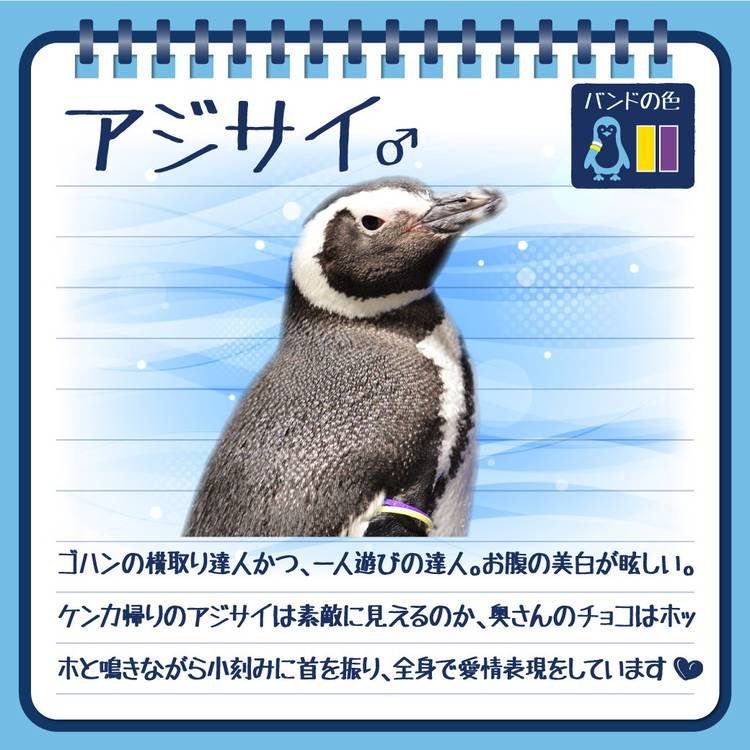 すみぺん（値下げ、まとめ依頼プロフ必読）様 すみぺん（値下げ、まとめ依頼プロフ必読）様 すみぺん（値下げ