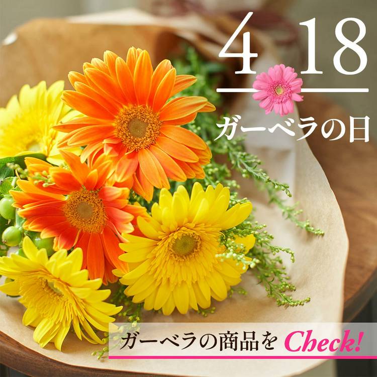 Mixed media feed | イイハナ・ドットコム | LINE Official Account