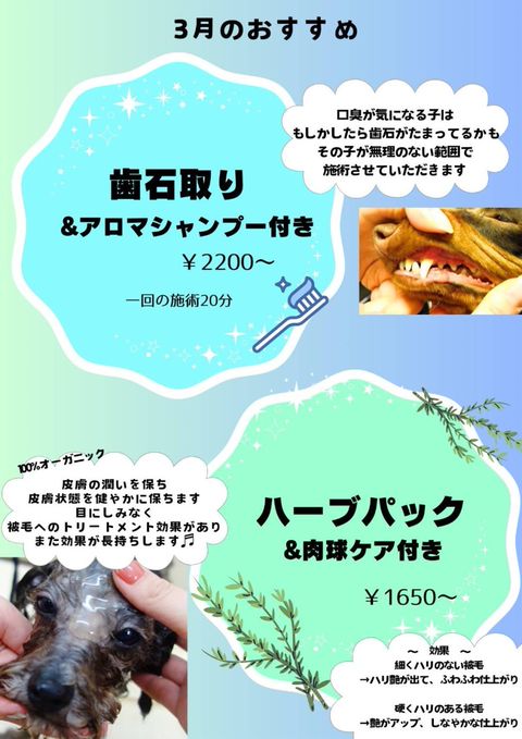mei8000様 オーダーご相談♡ くらがまミキゼ️💬送 XXX メメ下ー N 50cm