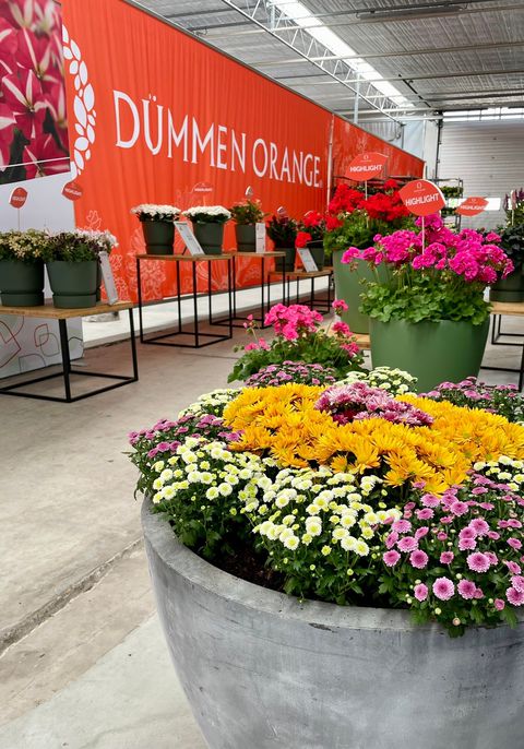 okmen即日発送❤️即購入可❤️さん専用 COMME des GARCONS HOMME PLUS(コムデギャルソンオムプリュス