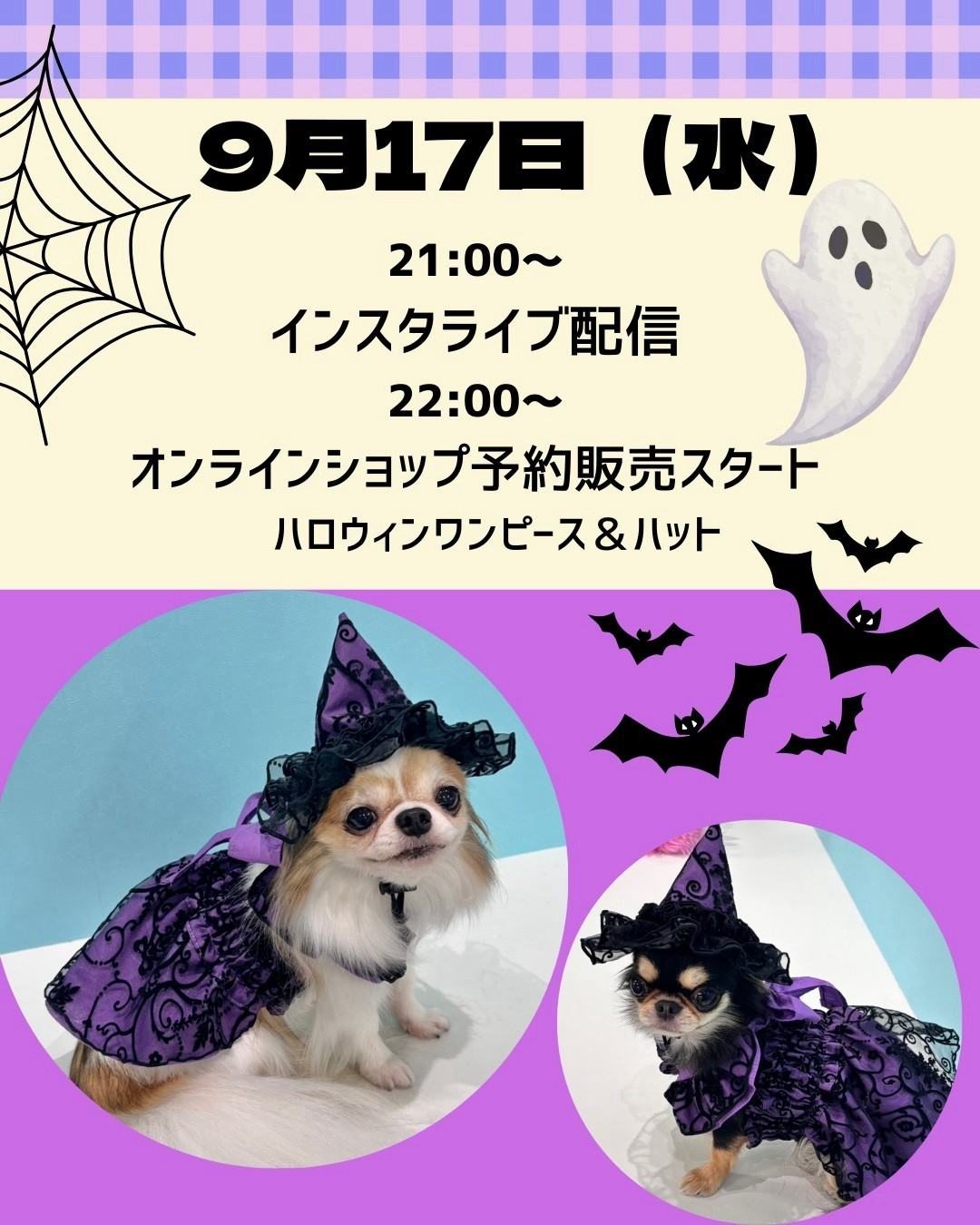 ene☆ | LINE Official Account