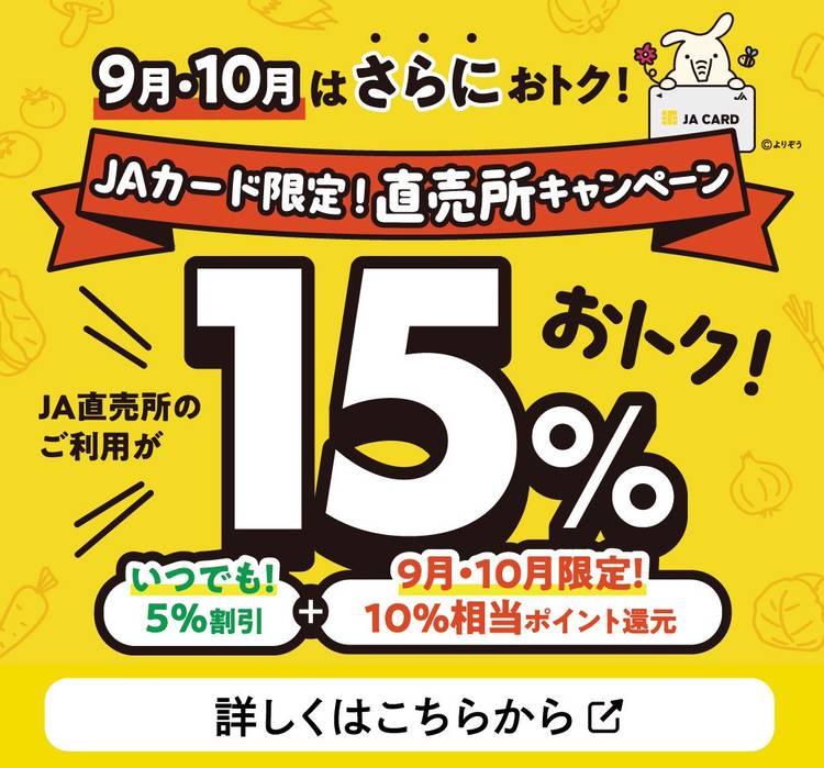 知多米 あいちのかおり5kg お米 白米 うるち米 おこめ 国産 精米 ご飯 おにぎり 朝ごはん ライス 和食 日本食 主食 食卓 お弁当 大粒 つや  あっさり 食品 知多半島 お取り寄せ 5キロ 愛知県 知多市 特産品 | 愛知県知多市 | ふるさと納税サイト「ふるなび」