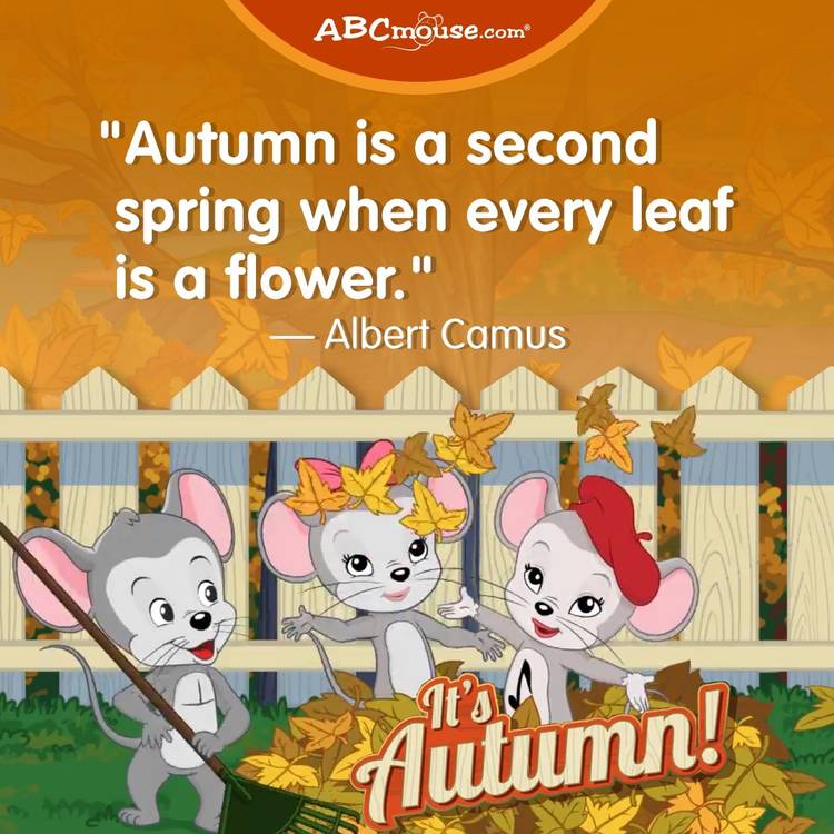 m ♡̷⋰⋰コメント必須　様の専用 Mixed media feed | Rakuten ABCmouse | LINE Official Account