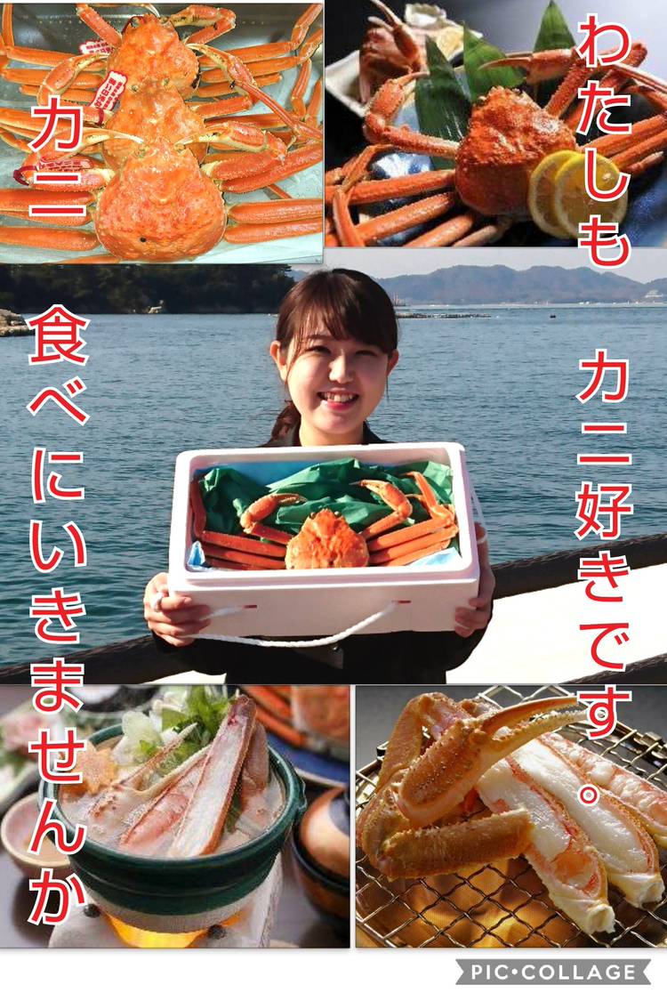 Mixed media feed | あなぶきトラベル | LINE Official Account
