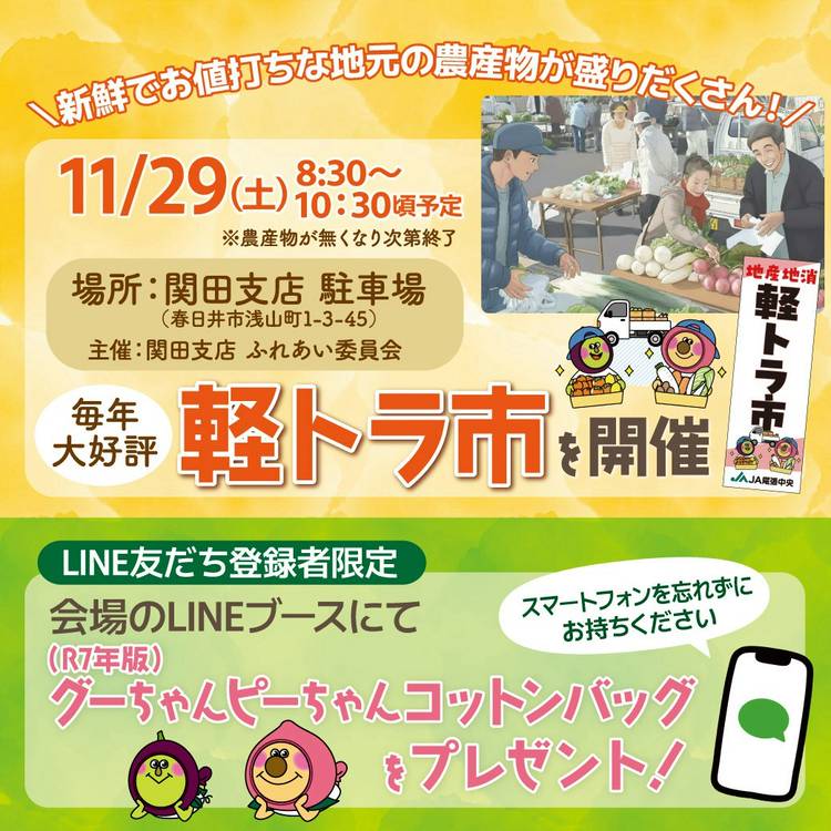 Haaaaaru　※同梱割引 J1-BOX Мﾀｲﾌﾟ ｻﾝﾌﾟﾙｾｯﾄ（1組）※代引き不可/送料込み | J1-BOX