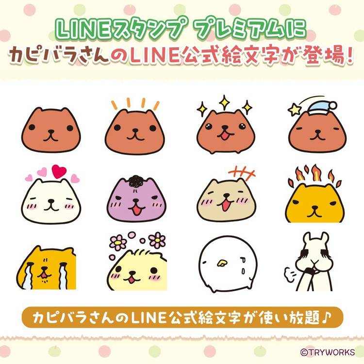 Mixed media feed | カピバラさん | LINE Official Account