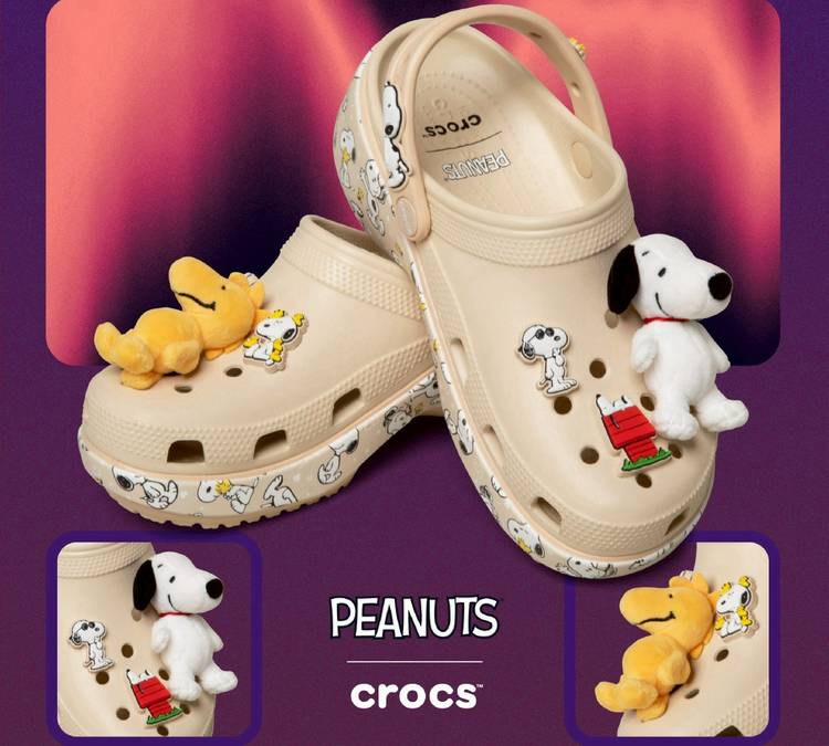 Mixed media feed | Crocs Future Rangsit | LINE Official Account