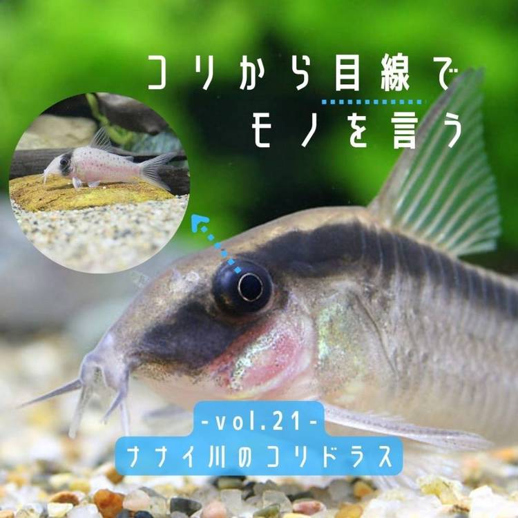 Mixed media feed | 総合ペットショップ チャーム | LINE Official Account