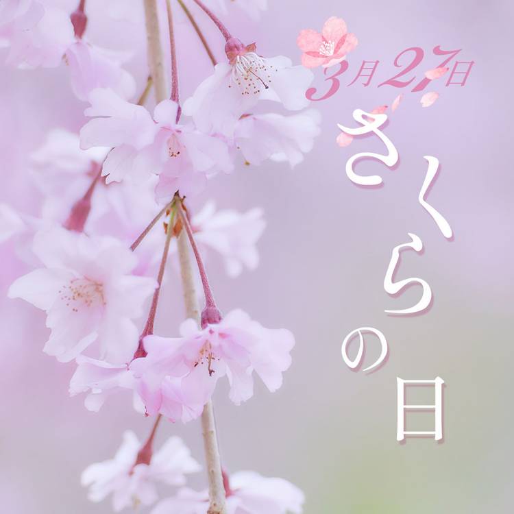 Mixed media feed | イイハナ・ドットコム | LINE Official Account