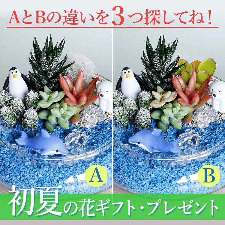 Mixed media feed | イイハナ・ドットコム | LINE Official Account