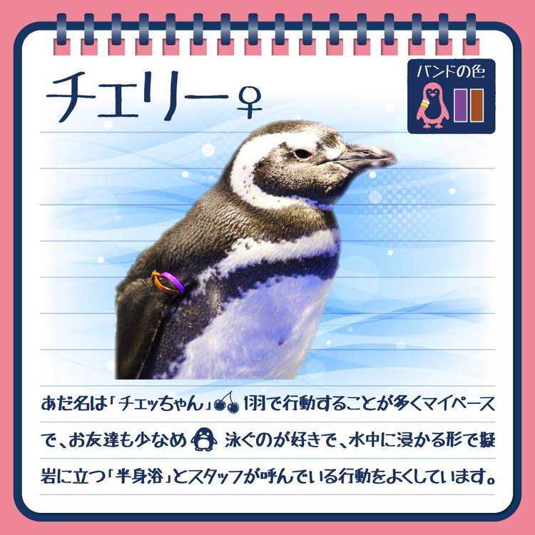 Mixed media feed | すみだ水族館 | LINE Official Account