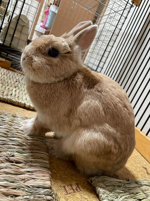ココロのおうち | LINE Official Account