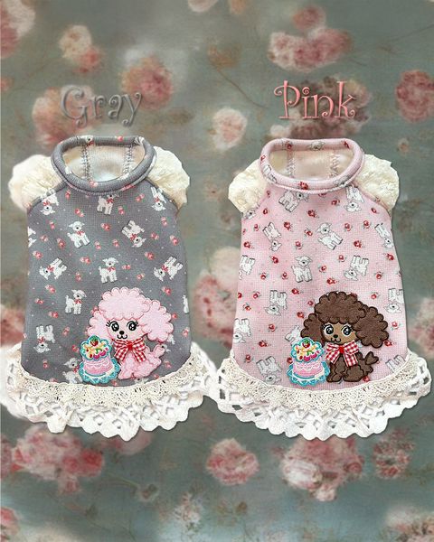 J&K animals | LINE Official Account