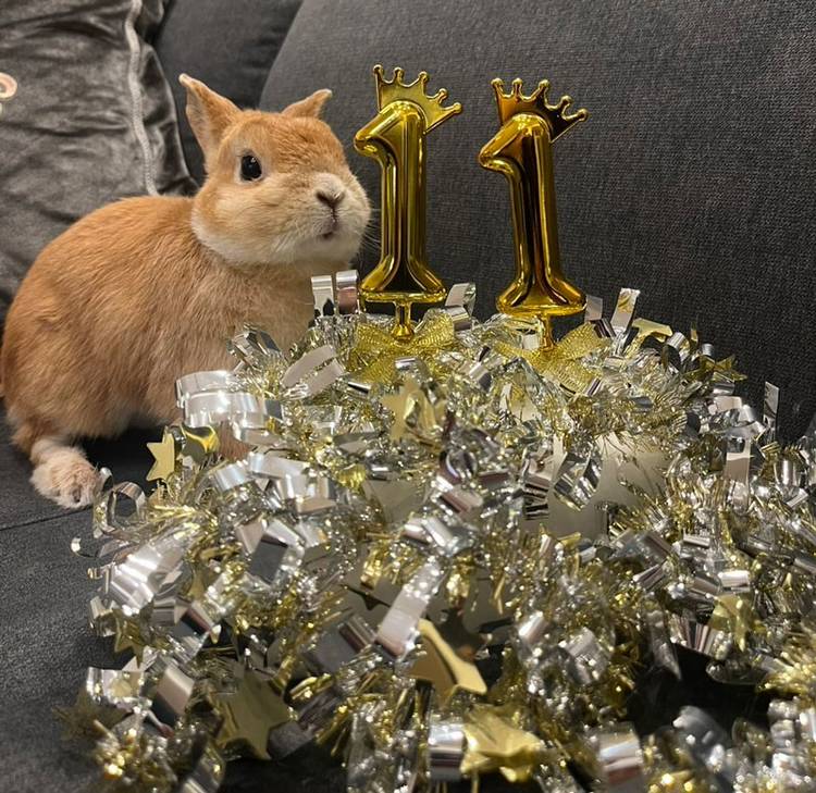 Mixed media feed | ココロのおうち | LINE Official Account