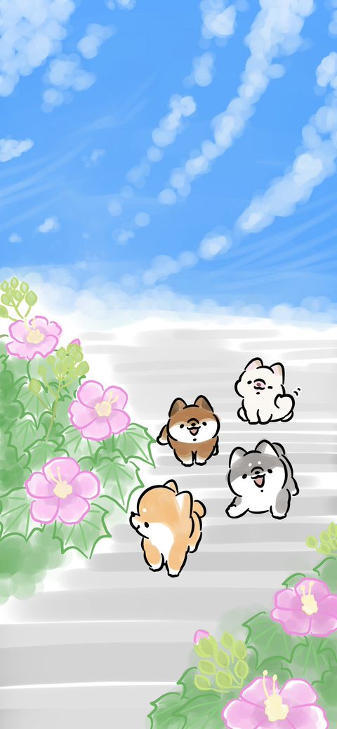 すぎいぬ様の専用ページ ほんわかしばいぬ | LINE Official Account