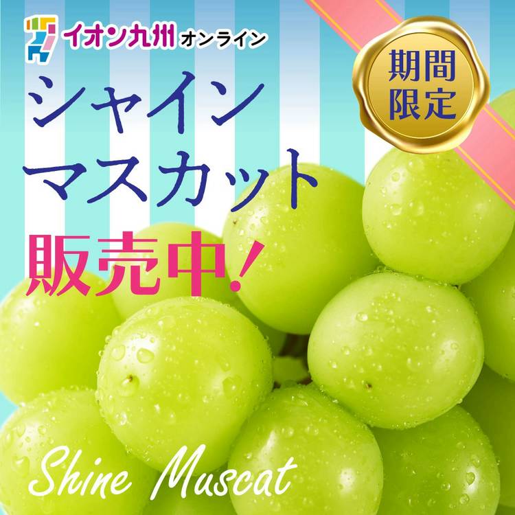 Mixed media feed | イオン九州オンライン | LINE Official Account