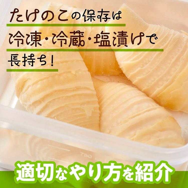 Mixed media feed | TRIAL 大府店 | LINE Official Account