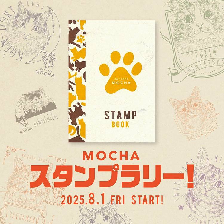 Mixed media feed | 猫カフェMOCHA 宮崎橘通店 | LINE Official Account