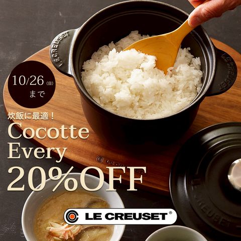 【ルクルーゼジャポン正規品】ココットオブロン /オブロング 31 ガナッシュ シグニチャー ココット・ロンド 18cm チェリーレッド (シルバーツマミ