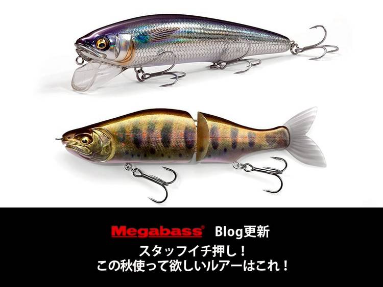 Mixed media feed | メガバスオンラインショップ | LINE Official Account