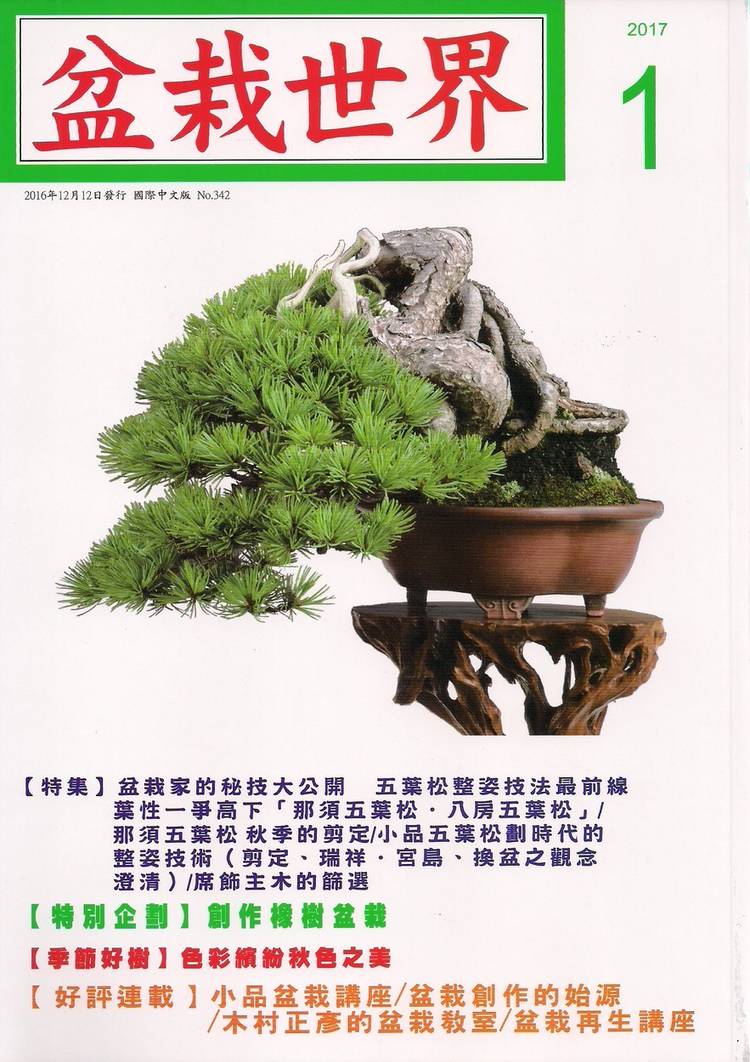 五葉松 瑞祥 盆栽 八房 八房 五葉松瑞祥