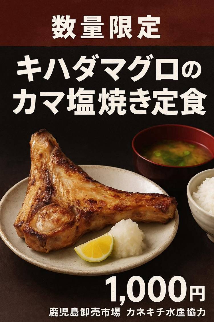 現代日本料理体系 素材百珍　8冊セット ナカ貿易株式会社 / Naka Trading Co., Ltd. / 和風柄シリーズ