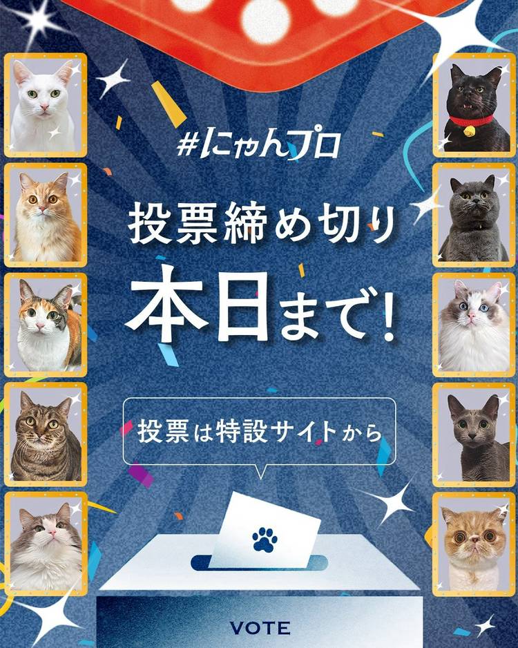 Mixed media feed | メルカリ | LINE Official Account
