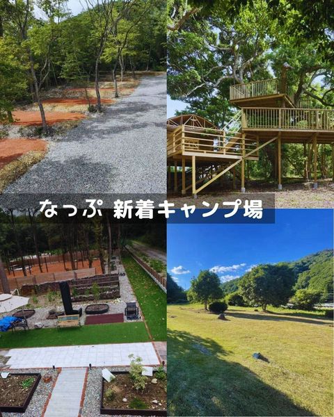 ぴなっぷページ なっぷ | LINE Official Account