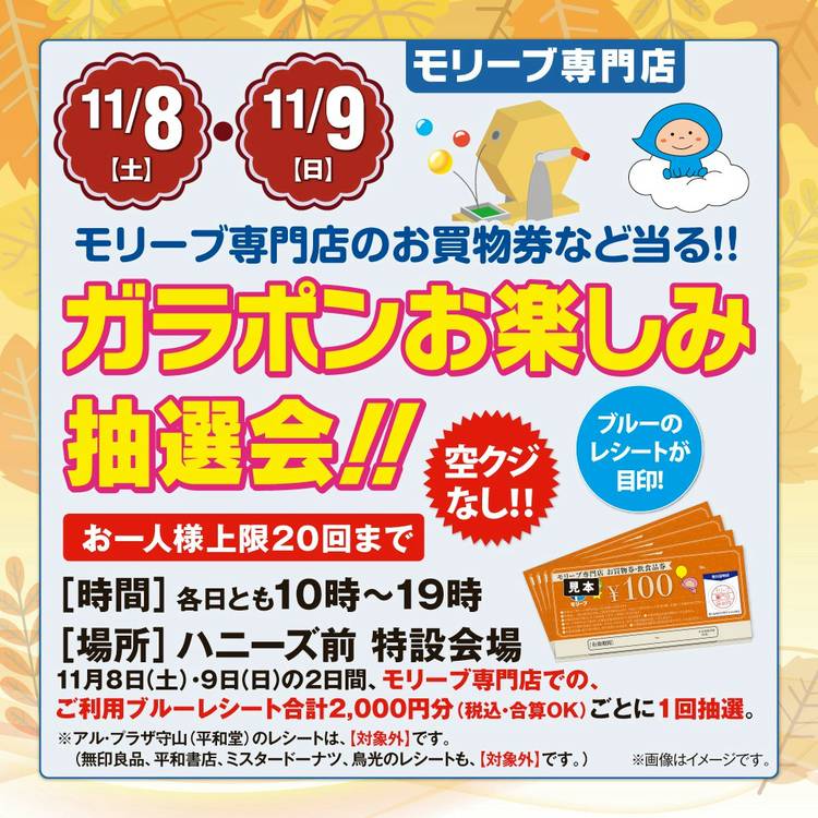 Mixed media feed | モリーブ | LINE Official Account