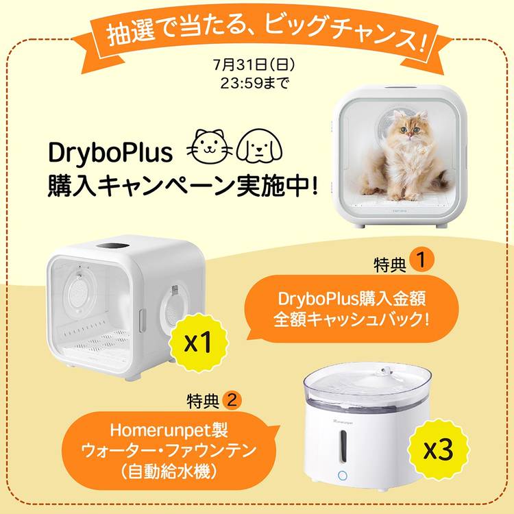 Mixed media feed | Homerunpet Japan | LINE Official Account