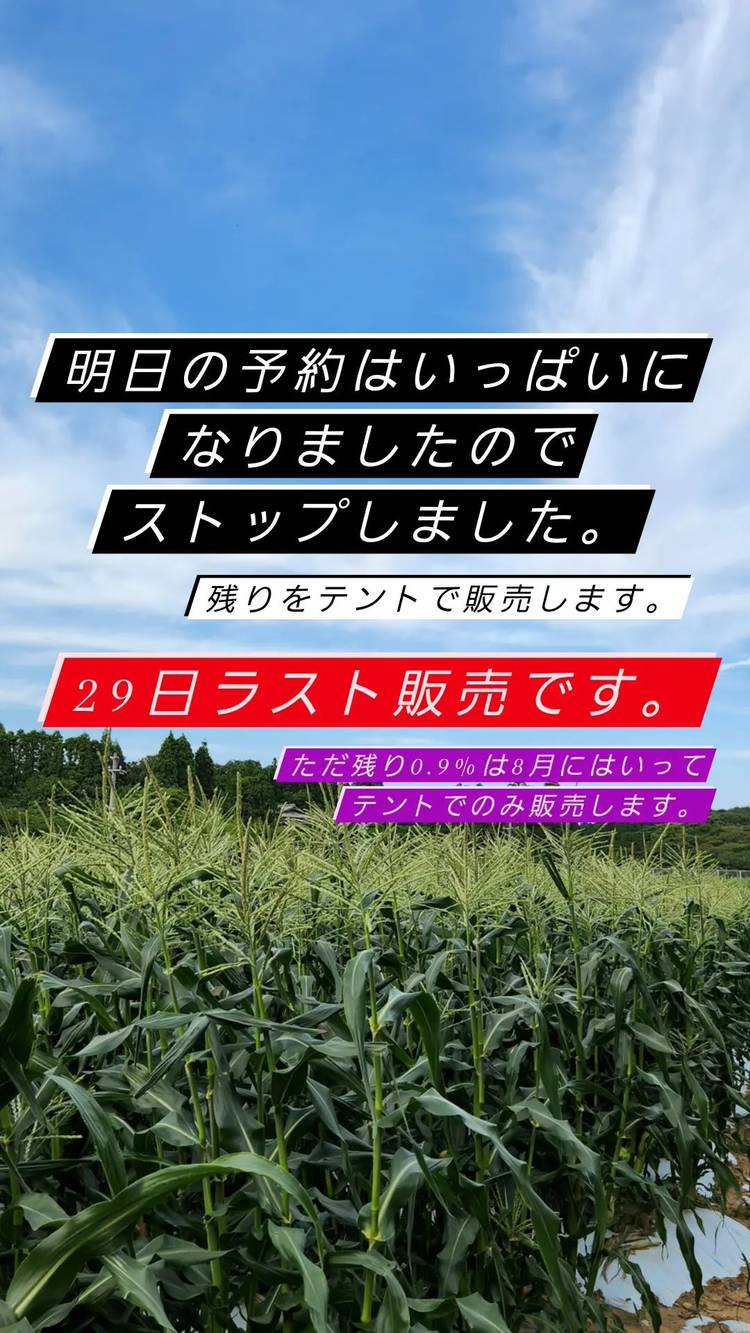 mthm※プロフィール必読お願いします※ イベント主催/withCarnival /福岡県/宗像市 | \ with CARNIVAL