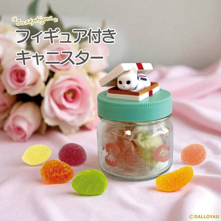 Mixed media feed | ダロワイヨ | LINE Official Account